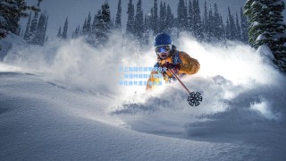 沪上双雄引援策略分化，海港持续精打细算，申花连年重金捕大鱼
