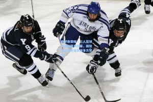 敢梦敢荣耀丨三人篮球天津站圆满落幕，国际化办赛水准赢得多方赞誉